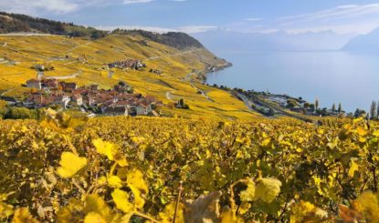 Höchste Gefahr für das Lavaux