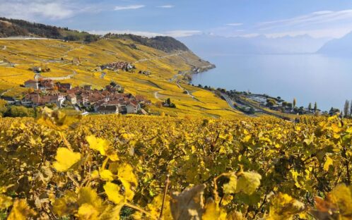 Höchste Gefahr für das Lavaux