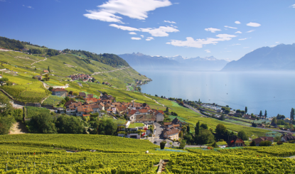 Lavaux