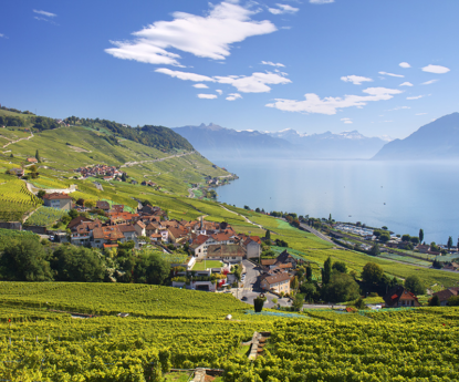 Lavaux