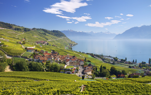 Lavaux