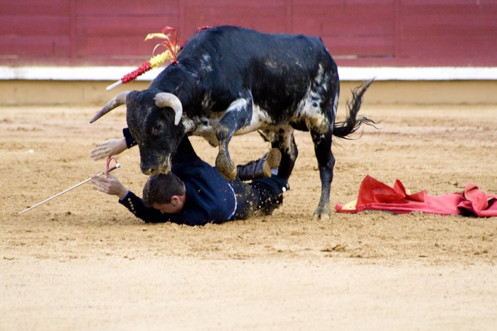 Abolition of Bullfighting in Catalonia, Spain