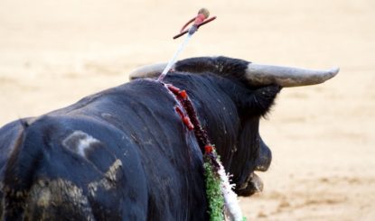 Heute ist der 10. Jahrestag der Abschaffung des Stierkampfes in Katalonien!