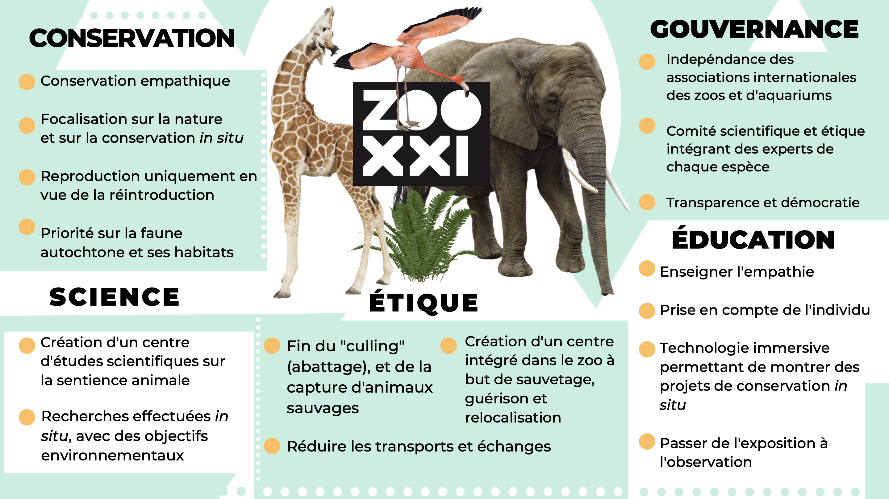 Les animaux souffrent de la chaleur extrême au zoo de Bagdad