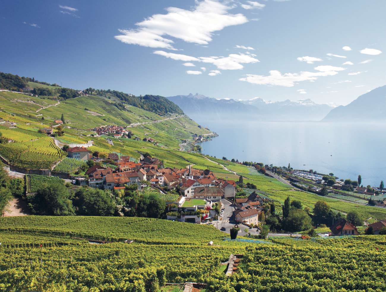 Lavaux