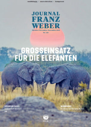 Journal Franz Weber 126