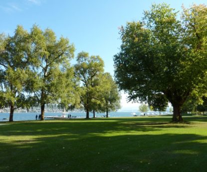 Téléphérique au-dessus du Lac de Zürich