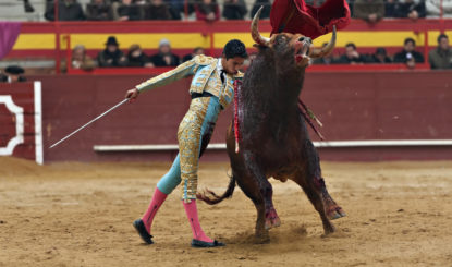 Corrida: enfin une bonne nouvelle!