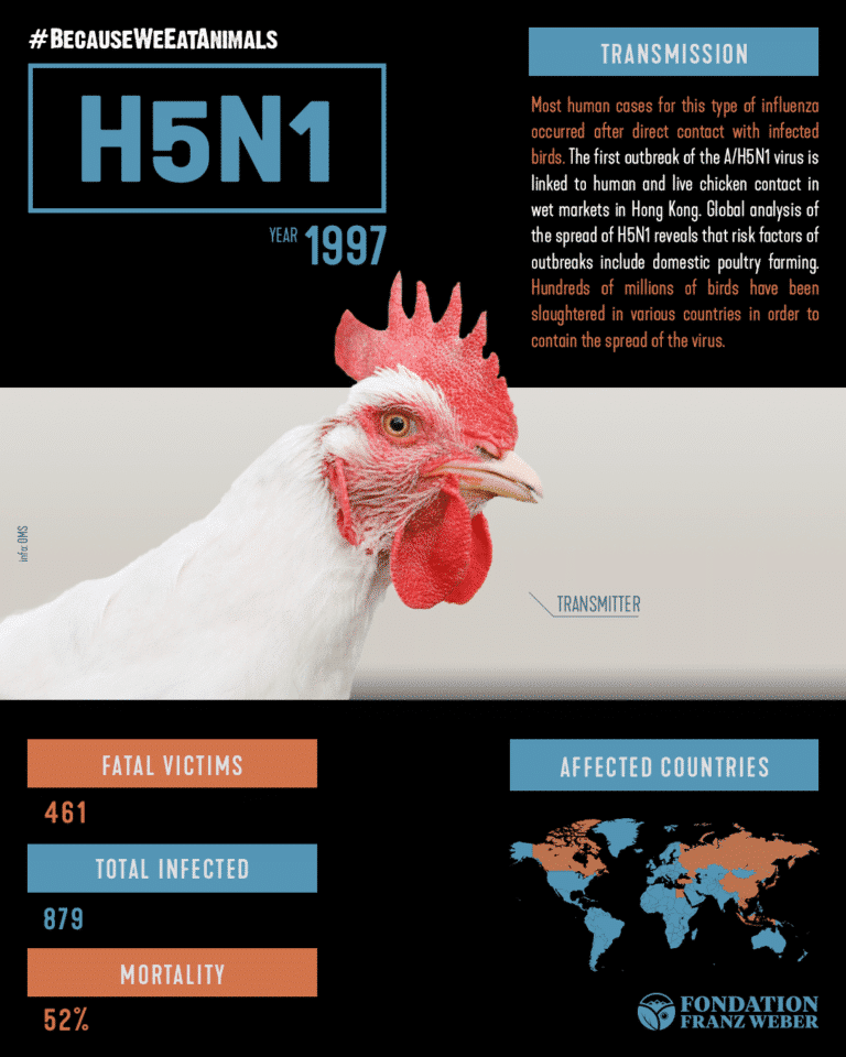 Fondation Franz Weber BecauseWeEatAnimals A(H5N1) (avian flu)