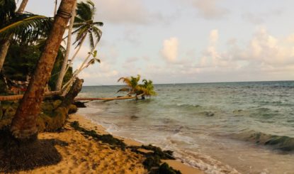 Gran SeaFlower: la FFW au chevet des Caraïbes