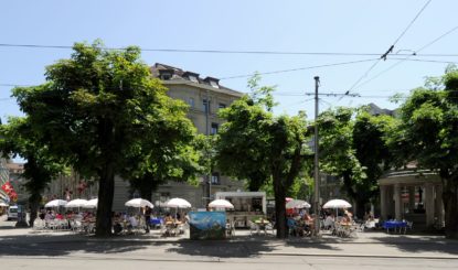 Historic Horse Chestnut Avenue at Hirschengraben in Bern Threatened to Be Destroyed!