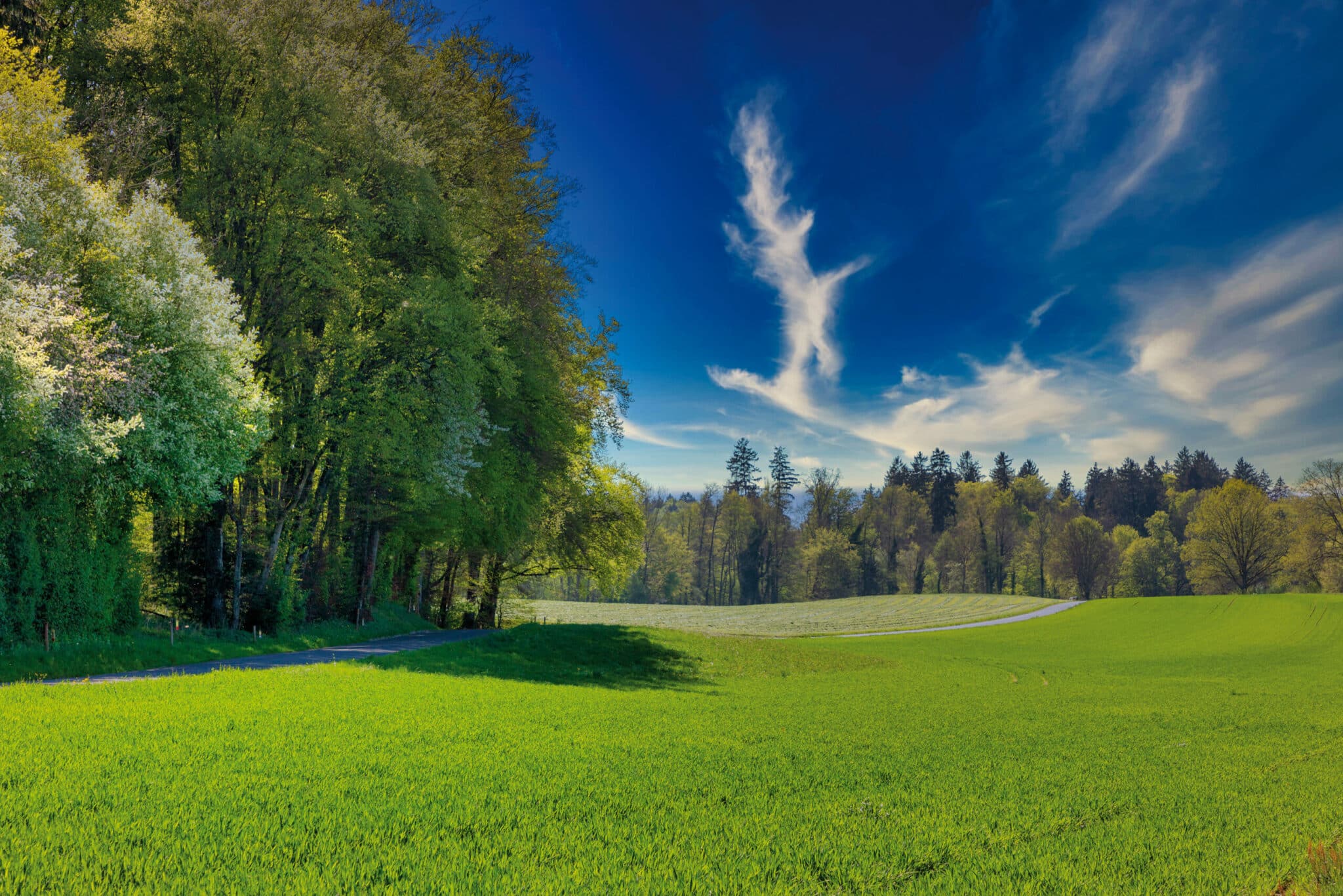 Fondation Franz Weber Medienmitteilung Die neuen BLSKöpfe müssen