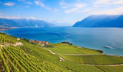 Communiqué aux médias: Sauver Lavaux et Helvetia Nostra ne laisseront pas détruire Lavaux