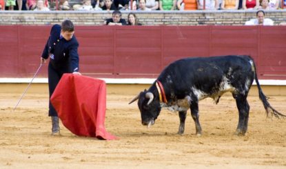 Stierkampf in Spanien: Tradition versus Kultur im 21. Jahrhundert