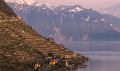 Lavaux, site en danger