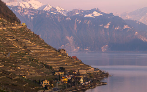 Lavaux, site en danger