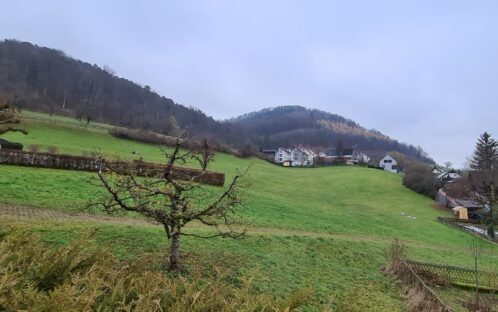 Medienmitteilung: Der Chilchacher in Tenniken (BL) bleibt grün!