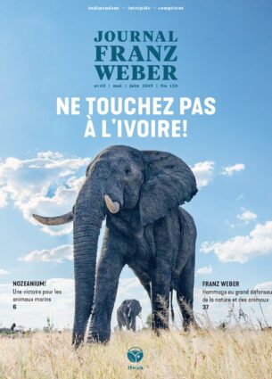 Journal Franz Weber 128