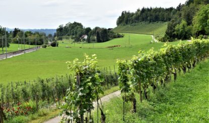 Auf Kosten der Natur: Ein zu hoher Preis, den wir alle bezahlen