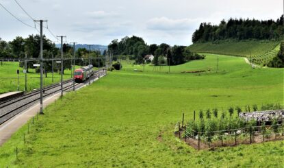 Medienmitteilung: Die Verschwendung wertvollster Natur kann vorerst gestoppt werden