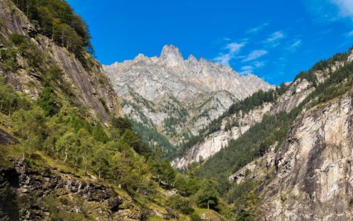 Medienmitteilung: Natur schützen und Demokratie bewahren