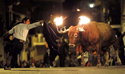 ¡Prohibir los Correbous en Cataluña!