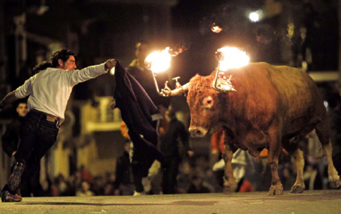 ¡Prohibir los Correbous en Cataluña!