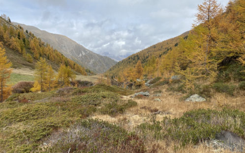 Une attaque frontale contre la Nature et la démocratie