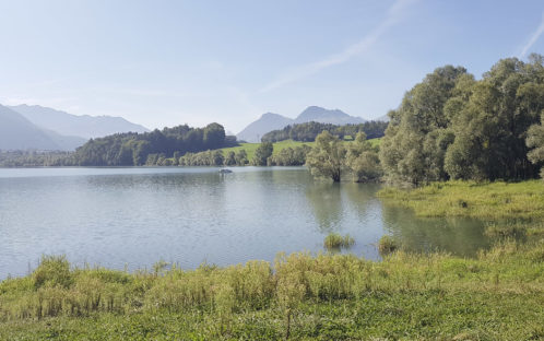 Projet Goya Onda : la biodiversité du lac de la Gruyère menacée par… le surf !