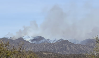 Gegen die Flammen, für Tier und Landschaft