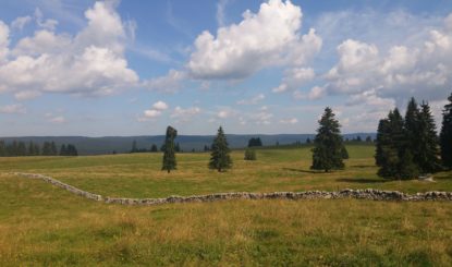 Communiqué aux médias: La région des Grands Plats à La Vallée de Joux préservée des atteintes