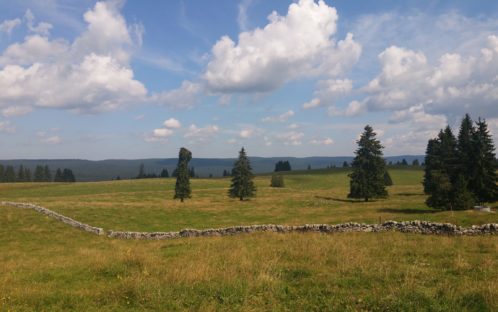 Bundesgerichtsentscheid: Windpark im Vallée de joux wir nicht gebaut