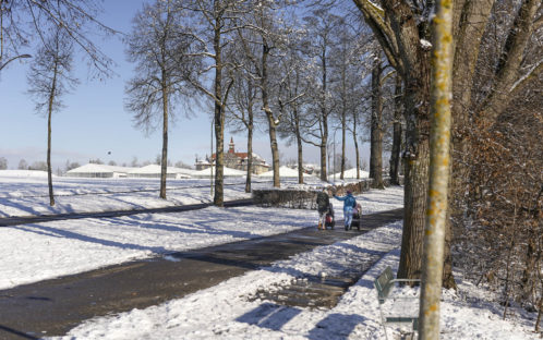 Berner Viererfeld retten