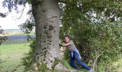 Die Baumkathedrale in Sulgen müssen wir retten!