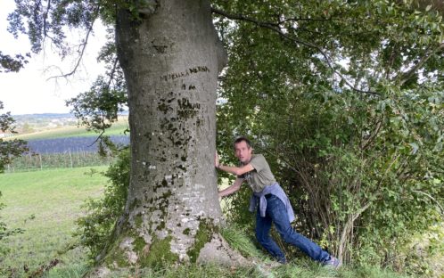 SAUVONS LA CATHÉDRALE NATURELLE DE SULGEN!