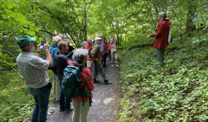 La forêt de Giessbach – un joyau unique!