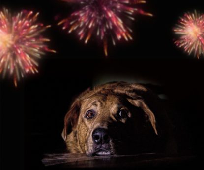 Initiative pour une limitation des feux d’artifice