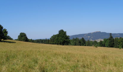 Communiqué aux médias: Parc éolien du Mollendruz: encore des atteintes à l’environnement à réduire