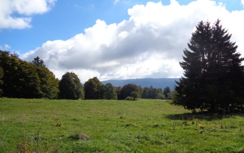 Communiqué aux médias:Parc éolien « Montagne-de-Buttes » (arrêt du Tribunal fédéral du 19.10.2023 ; 1C_48/2021): La dénaturation des crêtes jurassiennes se poursuit