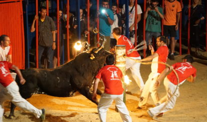 Lutte contre la corrida en Catalogne: c’est au tour des Correbous!