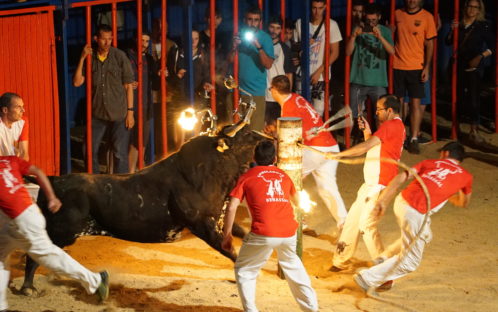 Lutte contre la corrida en Catalogne: c’est au tour des Correbous!