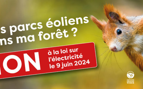 Communiqué aux médias: Non à la loi sur l’électricité : une loi bâclée et dangereuse pour la nature