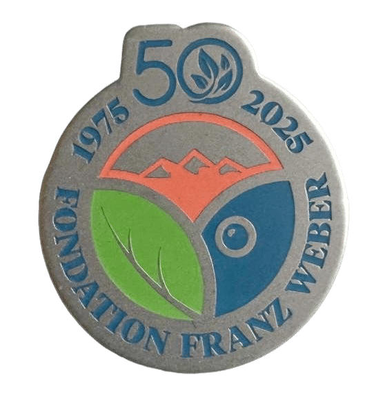 Pin