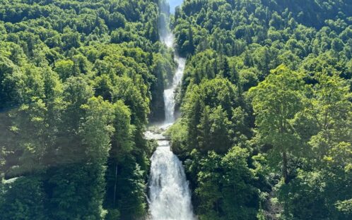 Das Erlebnis Giessbachwald