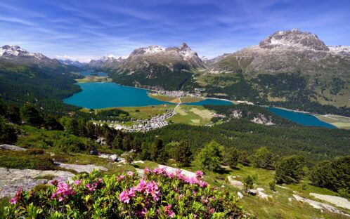 50 Jahre Einsatz für Natur und Tiere