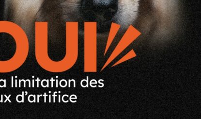 Fêter sans faire souffrir : votre voix compte