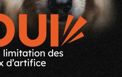 Fêter sans faire souffrir : votre voix compte