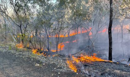 Feueralarm auf Bonrook:  Die Wichtigkeit der frühzeitigen Eindämmung von Buschfeuern
