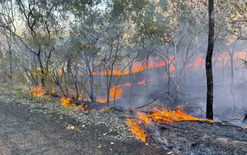 Feueralarm auf Bonrook:  Die Wichtigkeit der frühzeitigen Eindämmung von Buschfeuern