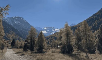 Eine Schweizerreise zwischen Zuneigung und Zorn